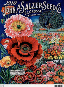 John A Salzer Seed Co Giant Peacock Poppies Rice Paper by Calambour Italy TT103