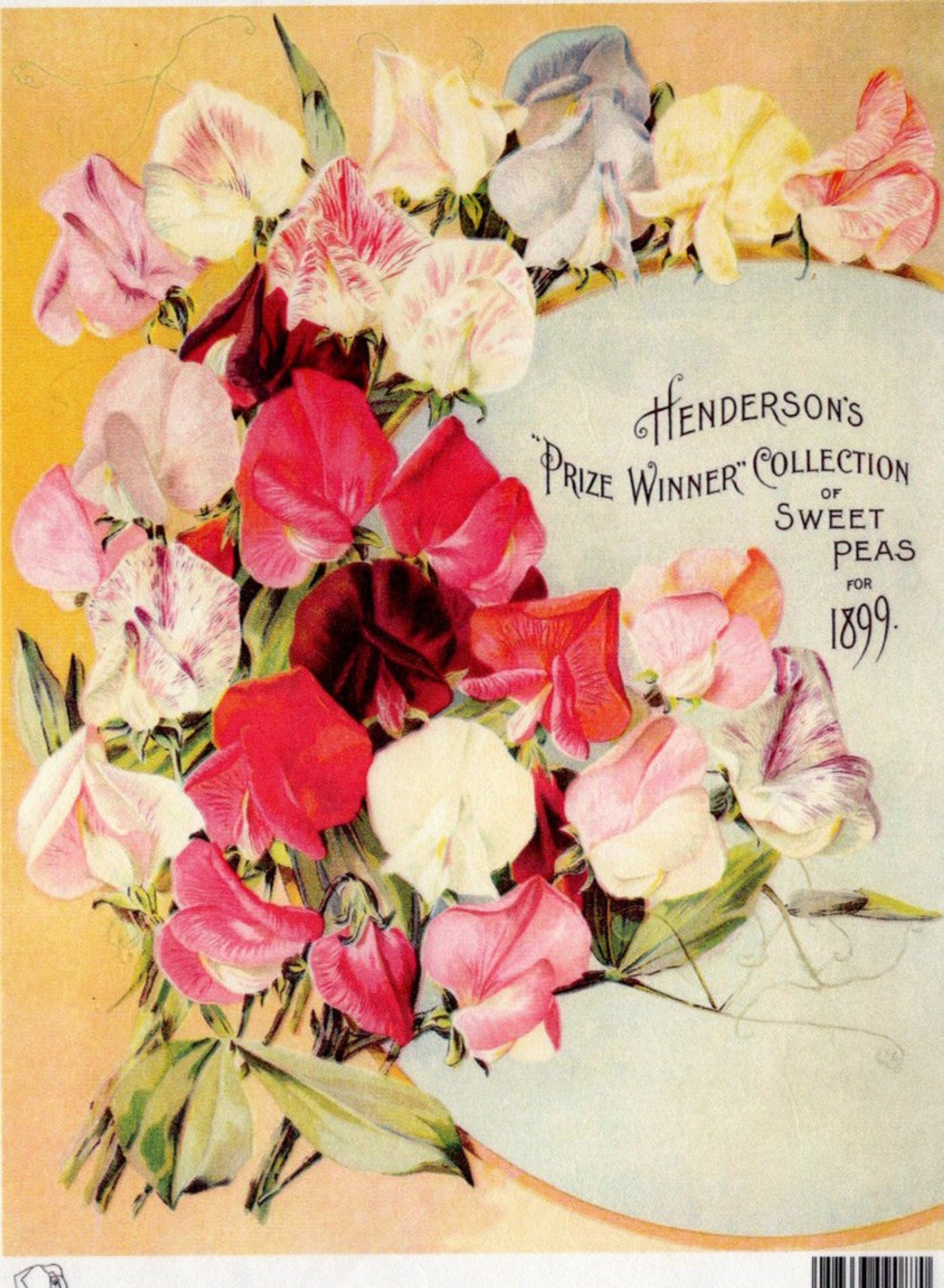 Henderson's Prize Winner Collection of Sweet Peas 1899 Rice Paper by Calambour Italy TT92