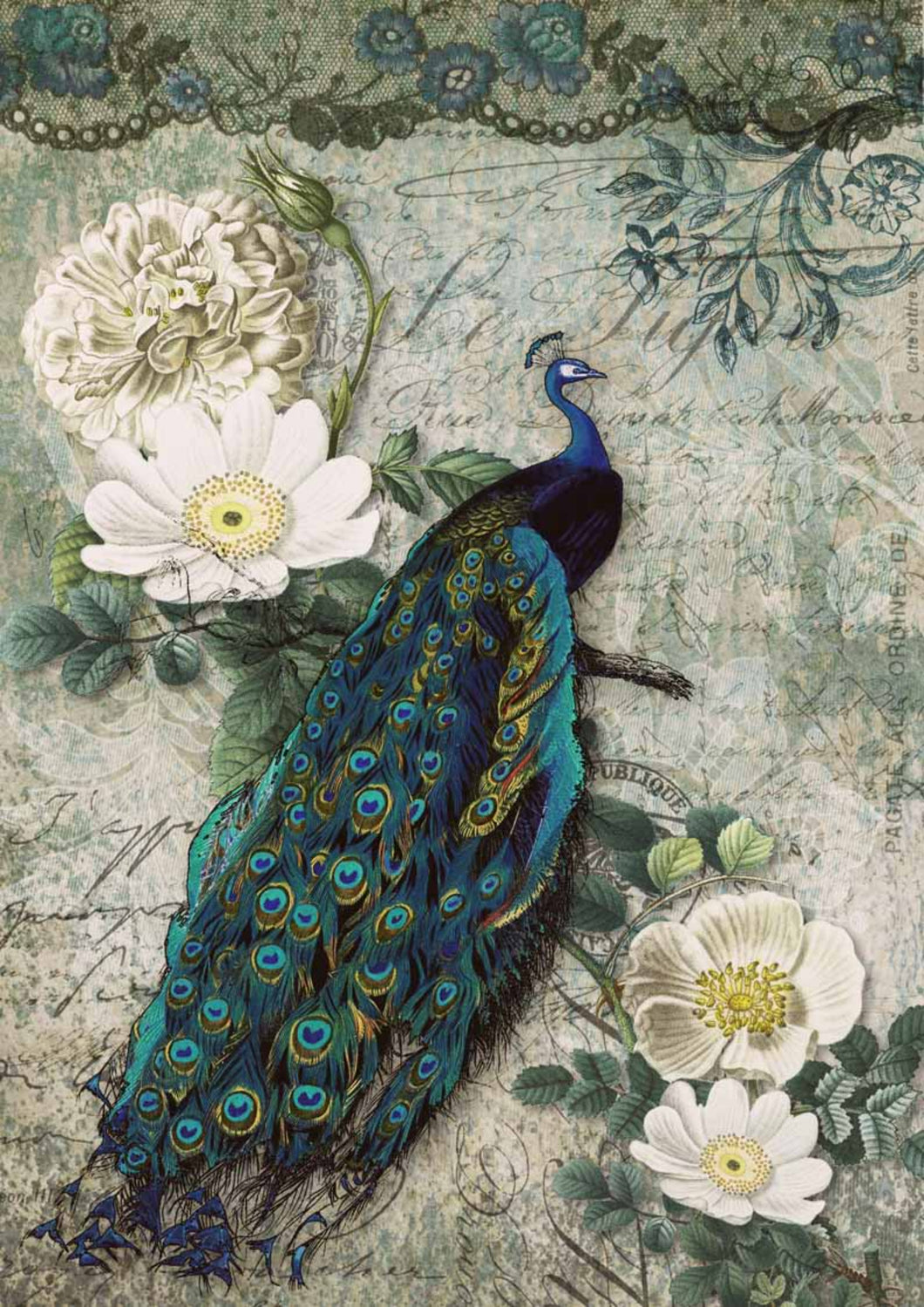 Peacock Majesty Rice Paper by Decoupage Queen, A4