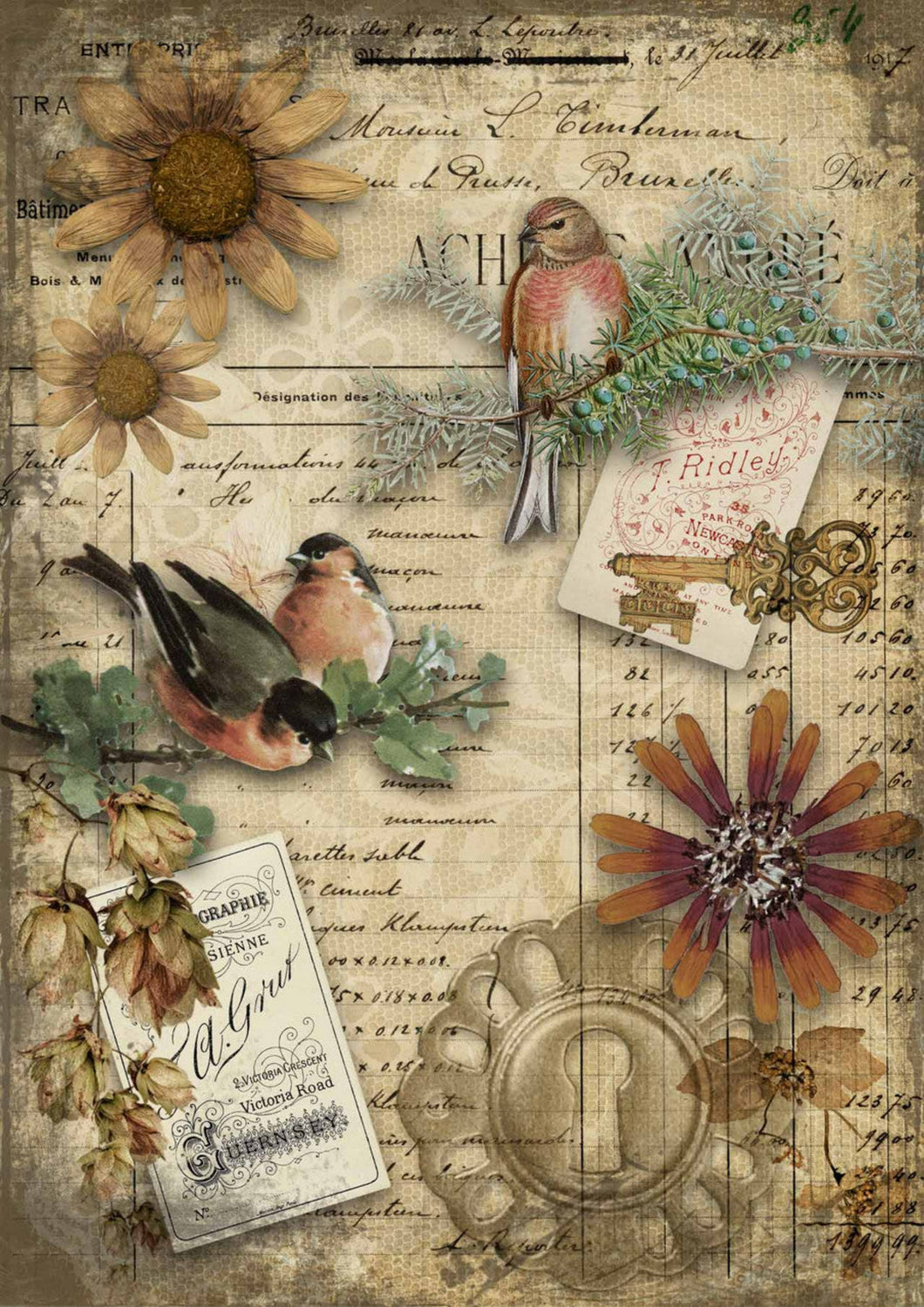 Autumn Birds Rice Paper by Decoupage Queen, Vintage Ephemera