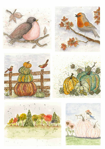 Old to Ooh La La Fall Birds Rice Paper