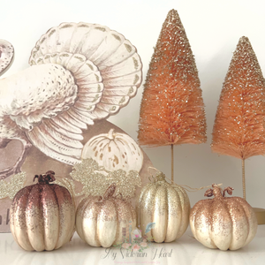 Bethany Lowe Designs Elegant Fall Pumpkin Ornaments TF8779, Set of 4