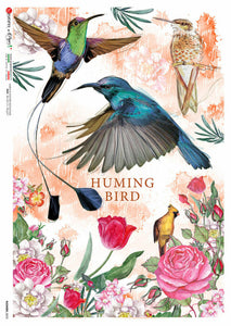 Hummingbirds, Flowers 0373 by Paper Designs Washipaper