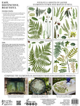 Load image into Gallery viewer, IOD Fronds Botanical Transfer by Iron Orchid Designs, 4 sheets, 12&quot; x 16&quot;, Back Cover