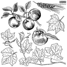 Load image into Gallery viewer, IOD Fruitful Harvest Stamp, Sheet 2, Apples, Pumpkin Vine, Wheat, Fall Leaves