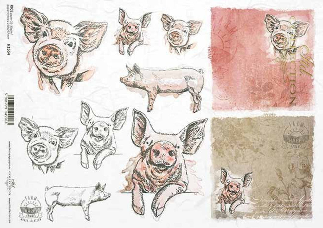 Pig Portraits R1554 Rice Paper by ITD Collection