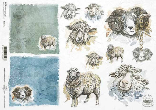 Sheep Portraits R1556 Rice Paper by ITD Collection