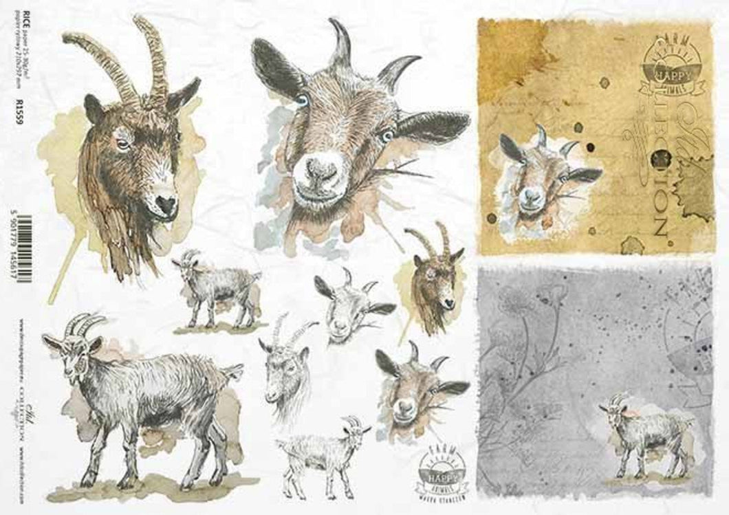 Goat Portraits R1559 Rice Paper by ITD Collection