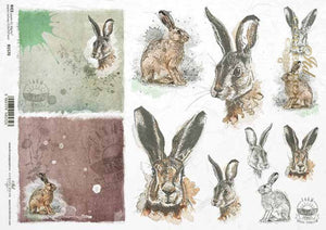Farm Bunny Portraits Rice Paper by ITD Collection, R1570, A4