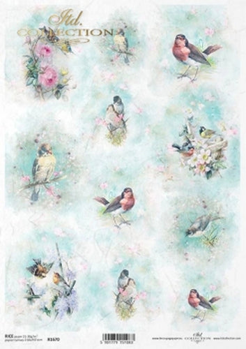Spring Bird Portraits R1670 Rice Paper by ITD Collection