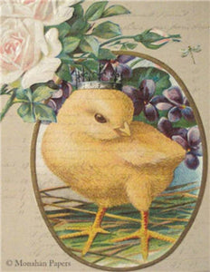 Crowned Chick by Monahan Papers, E91