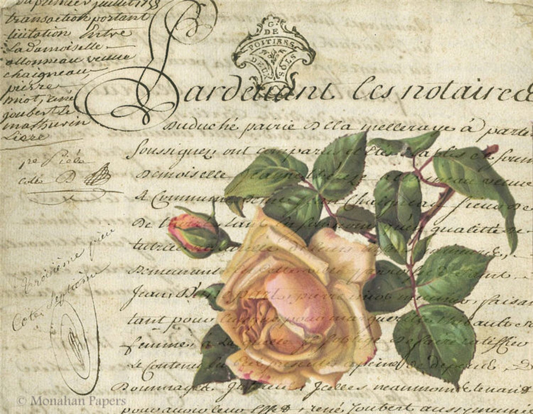 The Pink Rose and Bud by Monahan Papers, SPS359