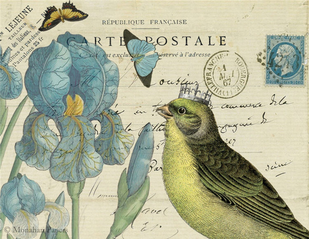 Yellow Bird with Iris by Monahan Papers, SPS989