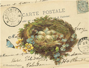 The Nest and Eggs by Monahan Papers, X185