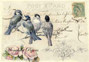 Four Blue Tits by Monahan Papers, X21