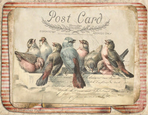 Red Stripe Bird Gathering by Monahan Papers, X270
