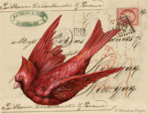 The Red Cardinal by Monahan Papers, X337