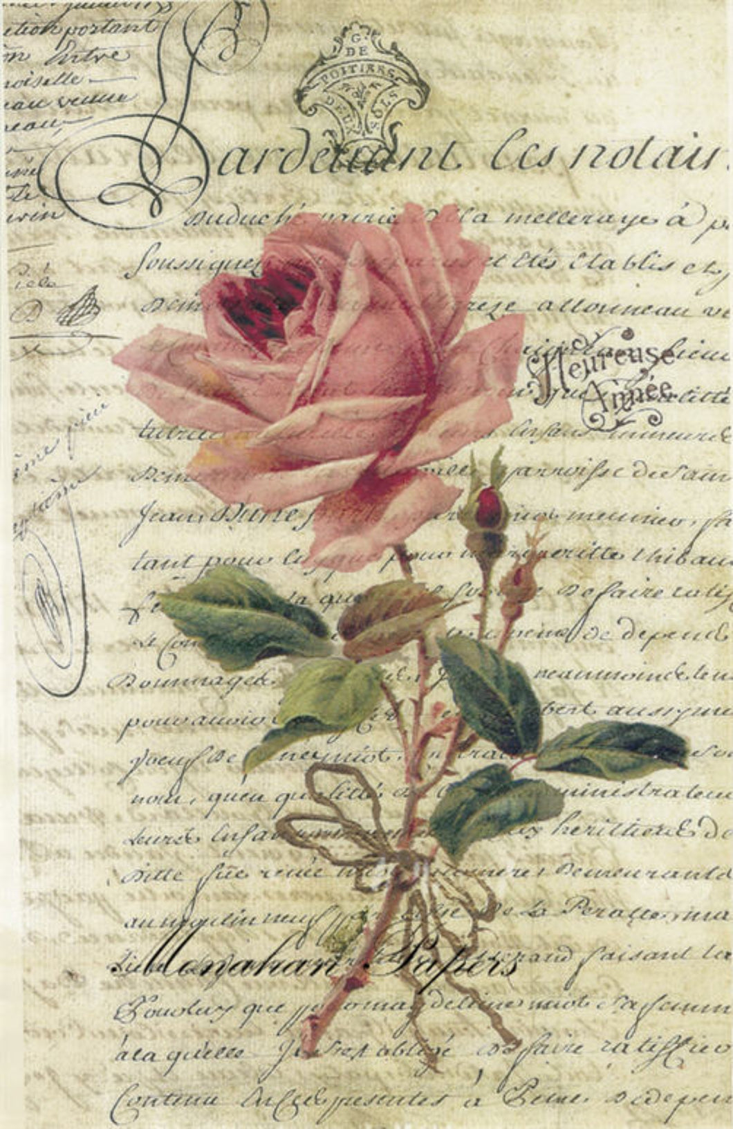 Heureuse Anne Rose by Monahan Papers, SPS358