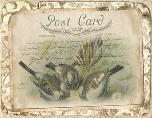 Brown Damask Bird Gathering by Monahan Papers, X272