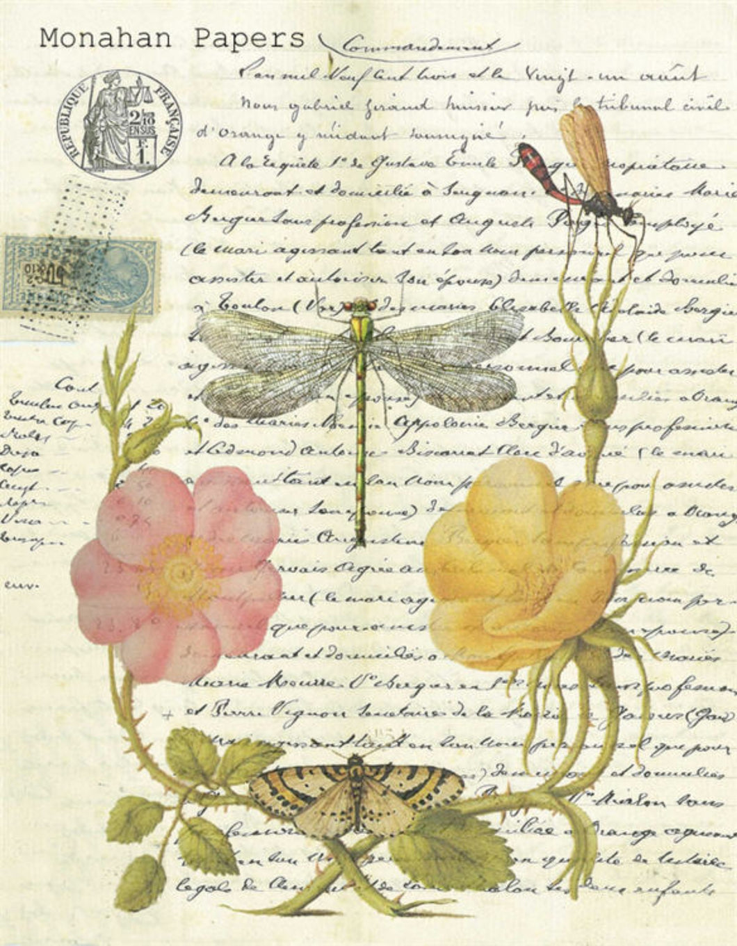Dragonfly by Monahan Papers, X331