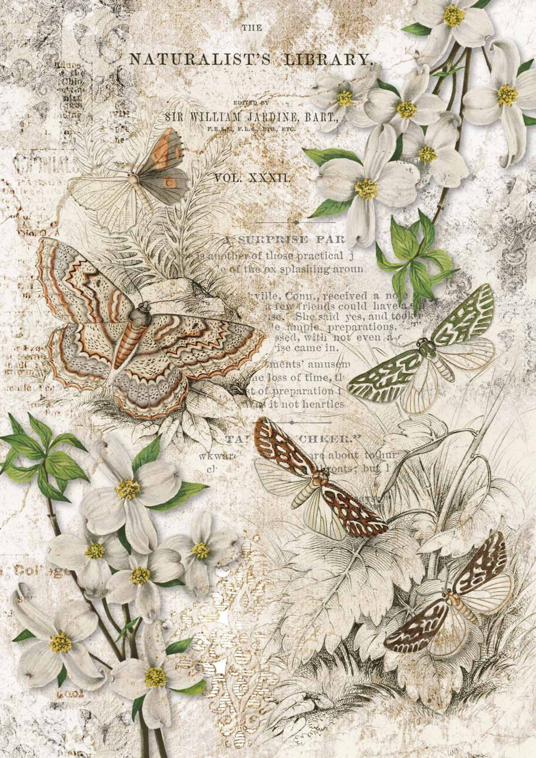 Naturalist Library Rice Paper by Decoupage Queen, A3 Size, Butterflies, Dragonflies, Florals, Vintage Book Page