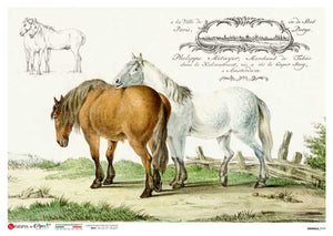 Animals 0197 Horses Grazing Scene by Paper Designs Washipaper, A4