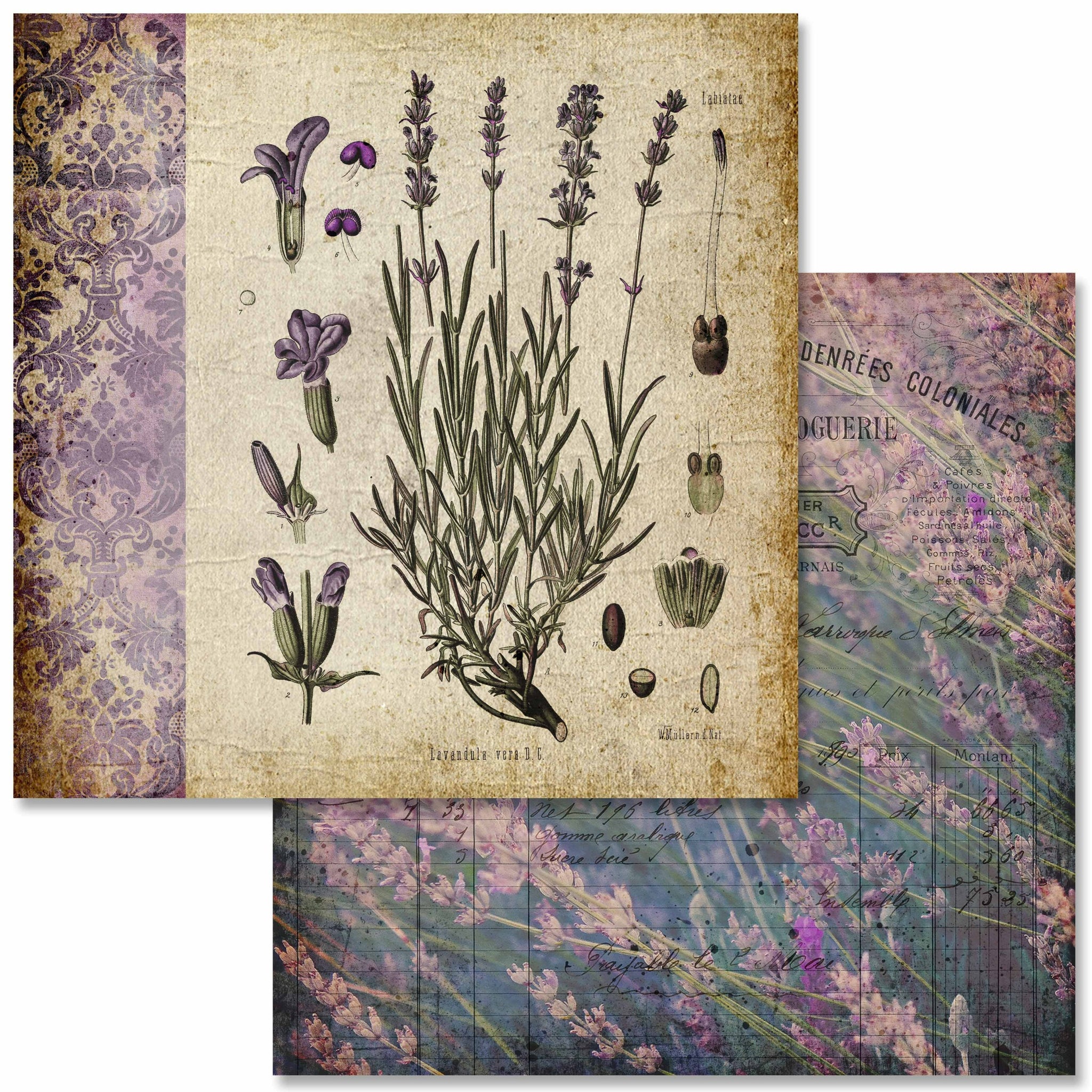 Decoupage Queen Vintage Lavender Scrapbook Set - 12 x 12