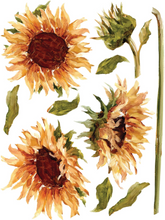 Load image into Gallery viewer, Iron Orchid Designs Painterly Florals Decor Transfer, Sunflowers