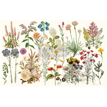 Load image into Gallery viewer, Redesign with Prima Decoupage Decor Tissue Paper, Wild Herbs, New