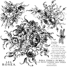 Load image into Gallery viewer, Rose Toile Decor Stamps by Iron Orchid Designs