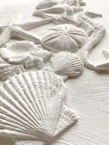 IOD Seashells Mould Casting Created with IOD Air Dry Clay