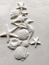 Load image into Gallery viewer, Iron Orchid Designs Sea Shells Decor Mould, Molds