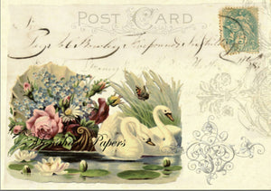 Swan Postcard by Monahan Papers, X22, Post Card with Swans