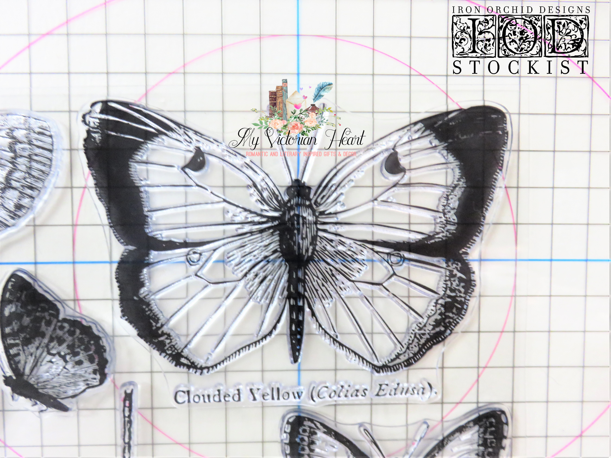 BUTTERFLIES 12×12 DECOR STAMP™