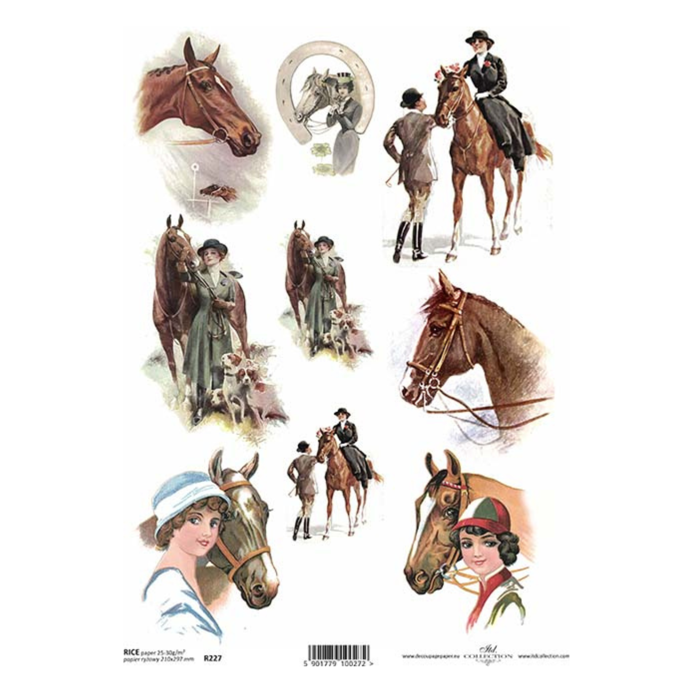 Equestrian scrapbook paper on sale