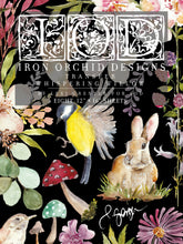 Load image into Gallery viewer, Whispering Willow Transfer by IOD, Iron Orchid Designs