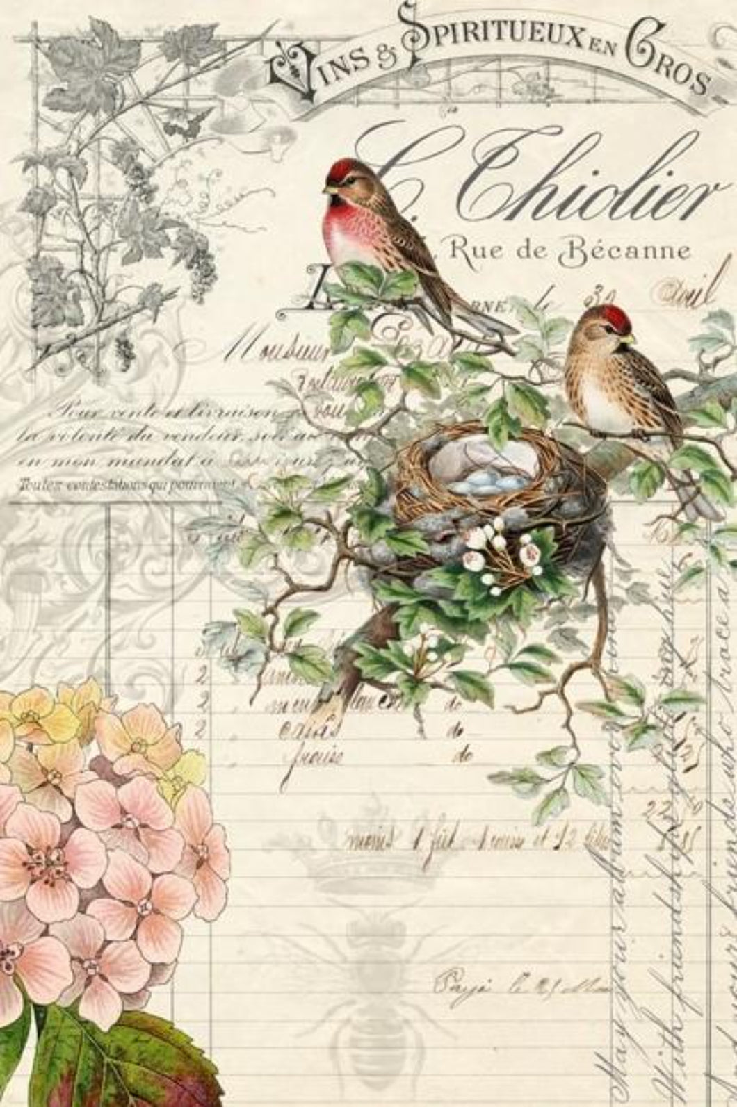 Roycycled Treasures Decoupage Paper, Bird Ephemera