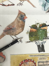 Load image into Gallery viewer, Catalog of Birds Decoupage Paper by Roycycled Treasures